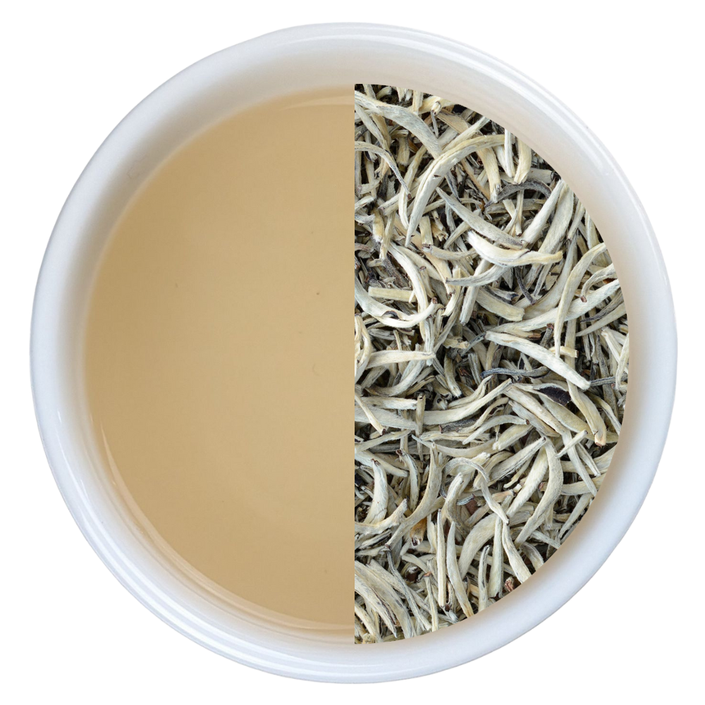 Best Ceylon White Tea