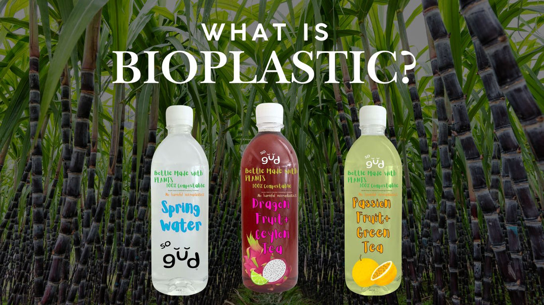 What is Bioplastic and PLA?