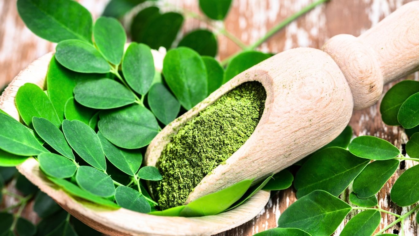 What is Moringa?