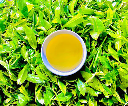 Green Tea | Loose Leaf Young Hyson (YH) Green Tea - Order sample