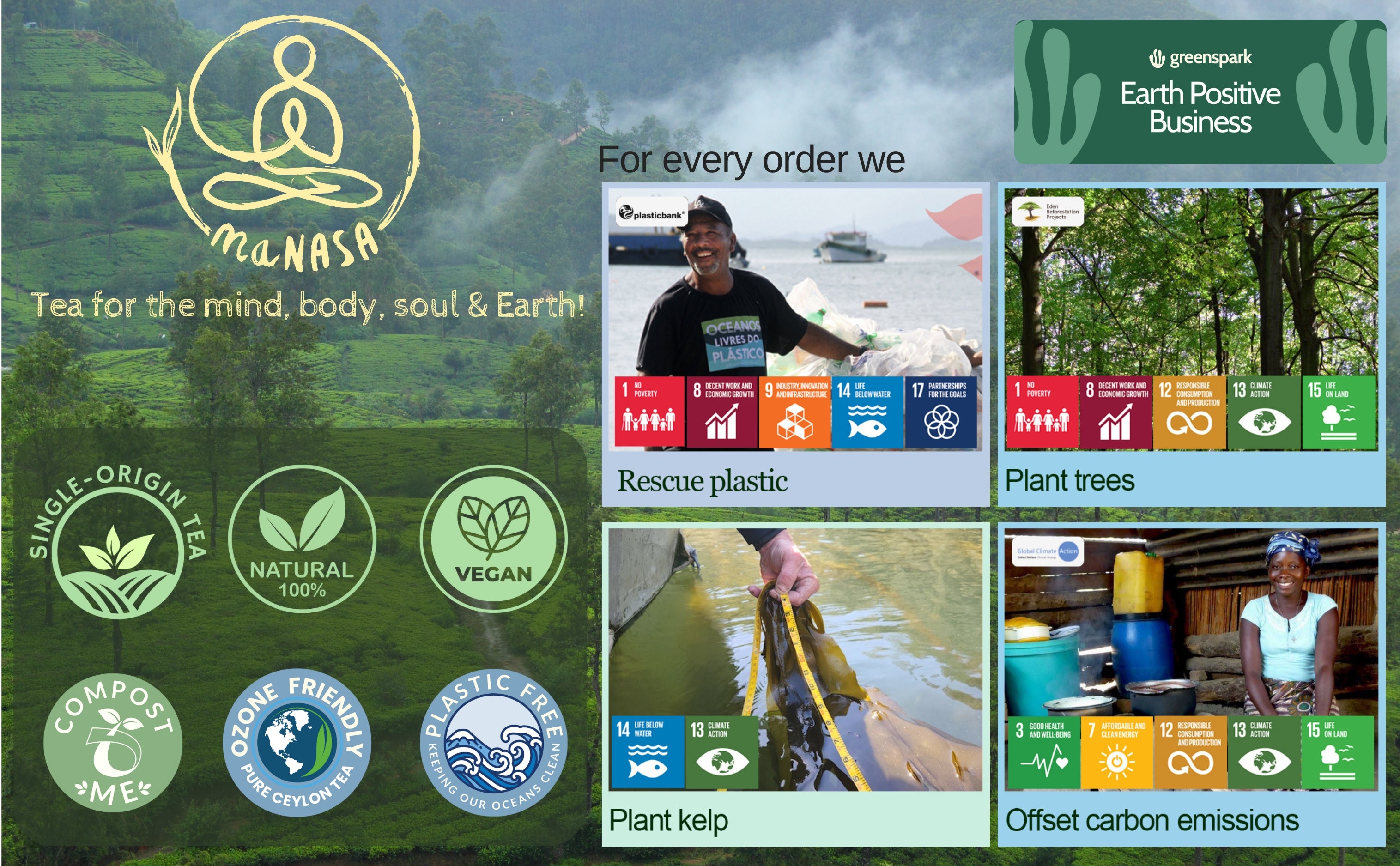 Sustainable Tea